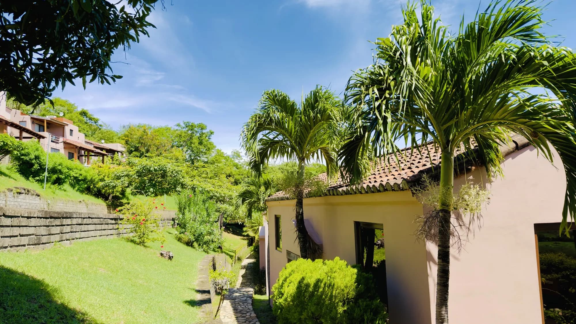 A villa among palms and gardens