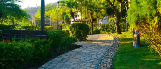 Pathway