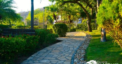 Pathway
