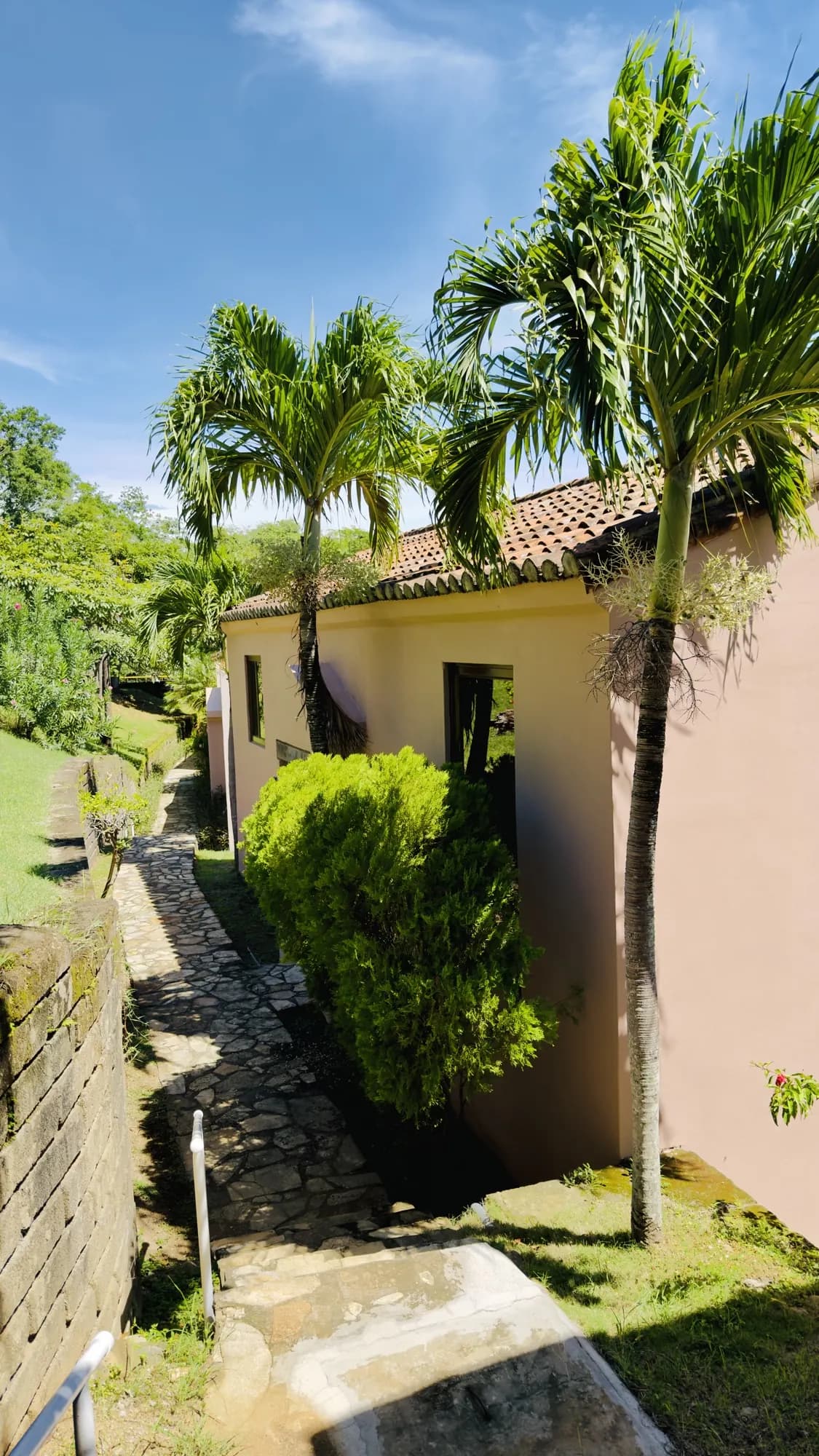 A stone path past a villa, between palms and gardens