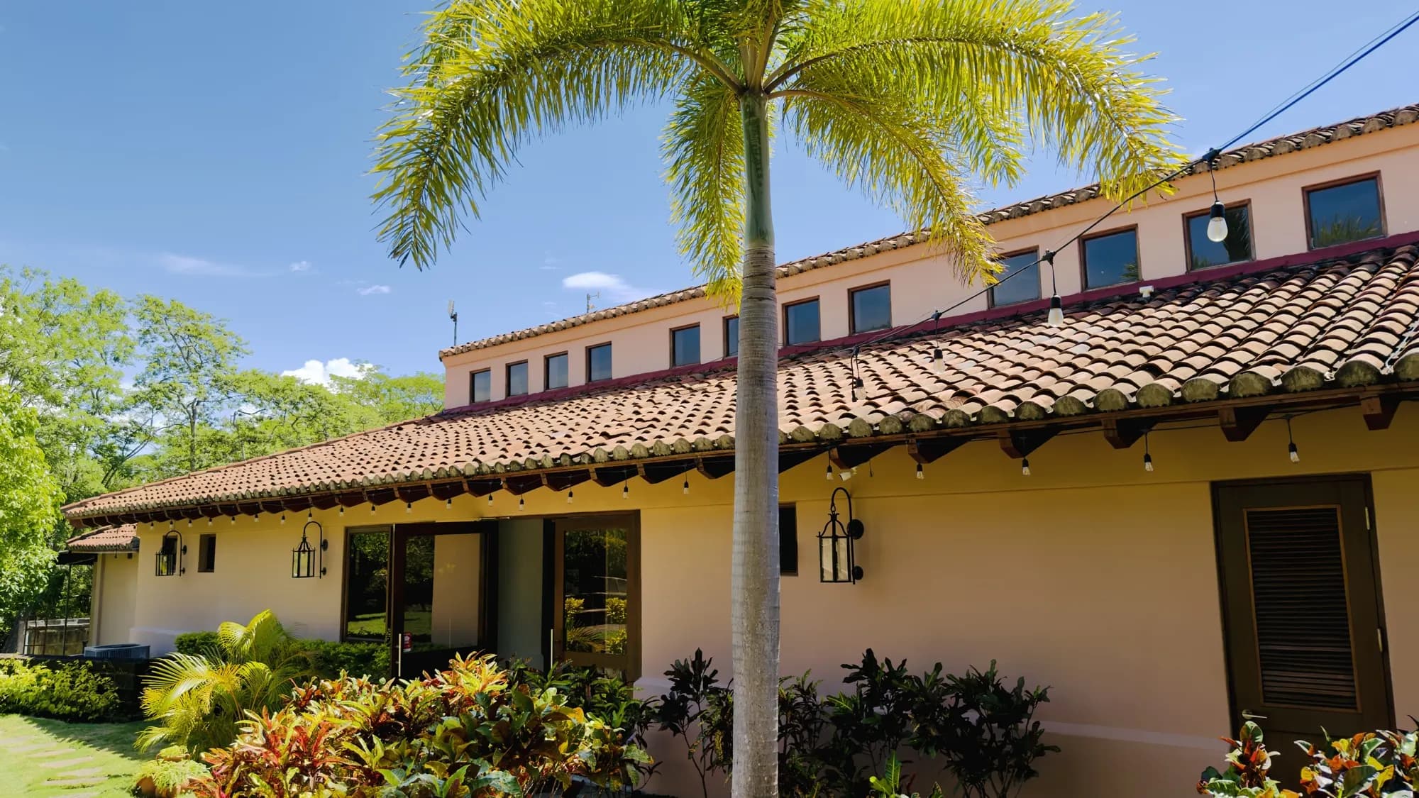 The main building with its tile roof and a palm