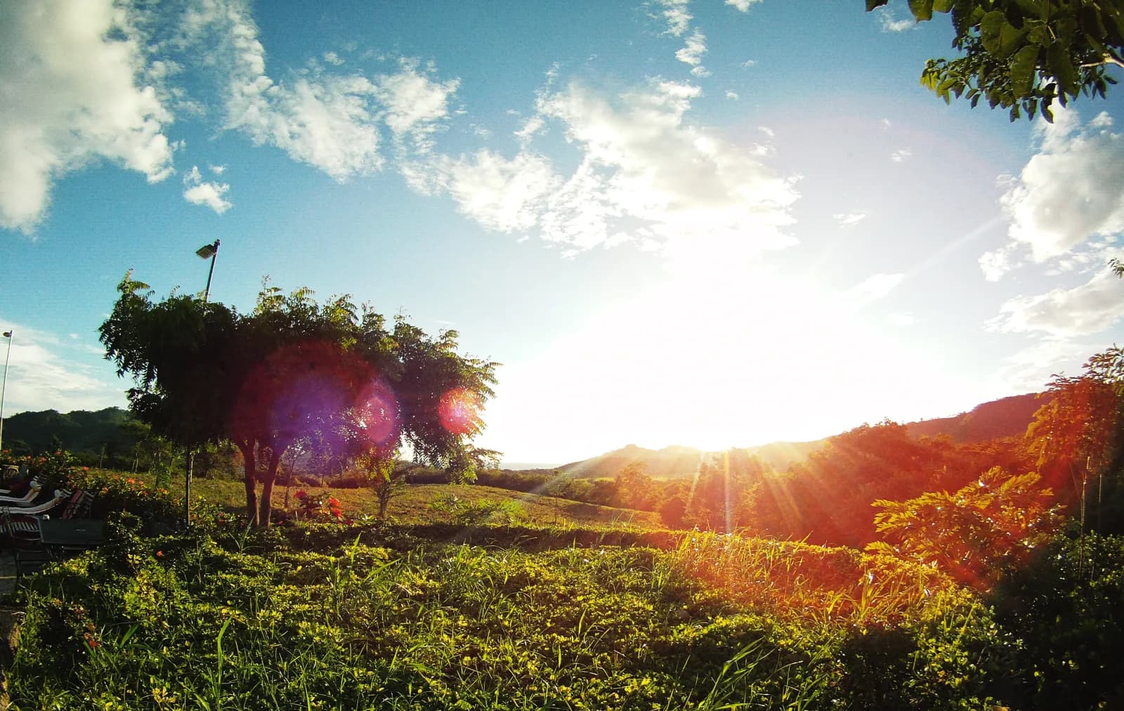 Late sun over the hillside gardens